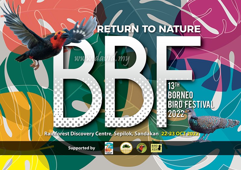 Borneo Bird Festival 2022 in Sabah
