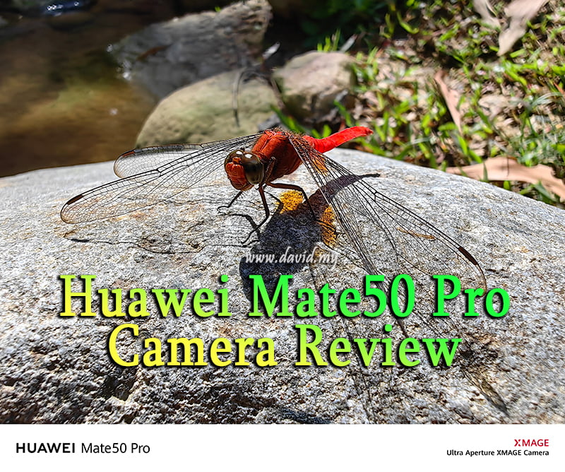 Huawei Mate 50 Pro Macro Camera Review in Malaysia
