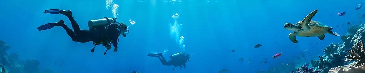 Underwater Image Malaysia