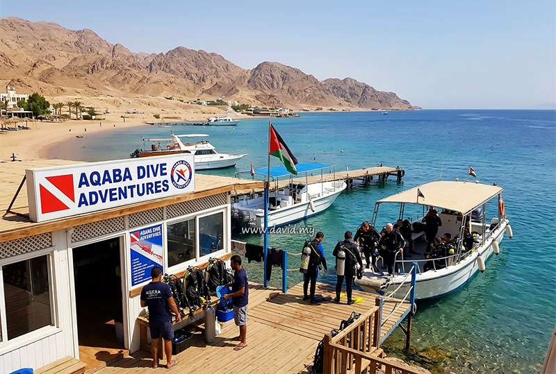 Dive Operator in Aqaba