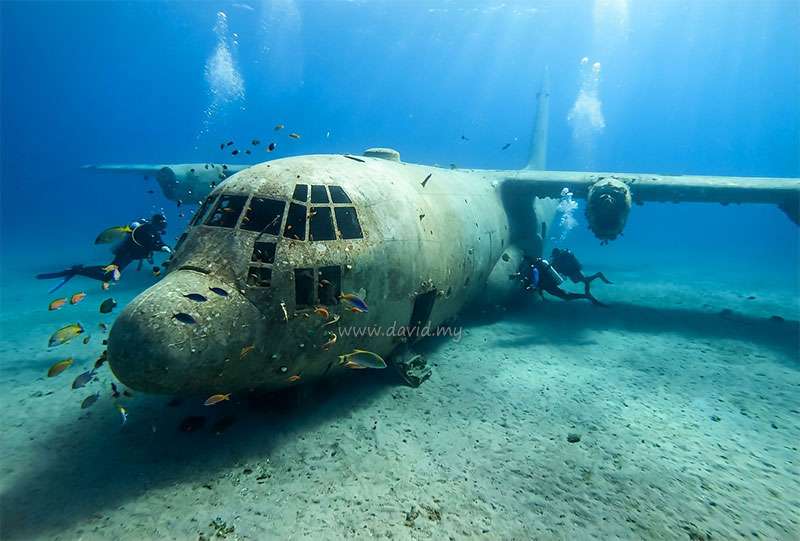 C-130 Hercules Dive Site in Aqaba