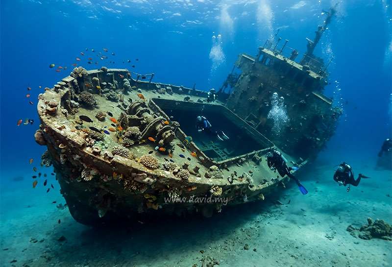 Cedar Pride Wreck Dive Site Aqaba