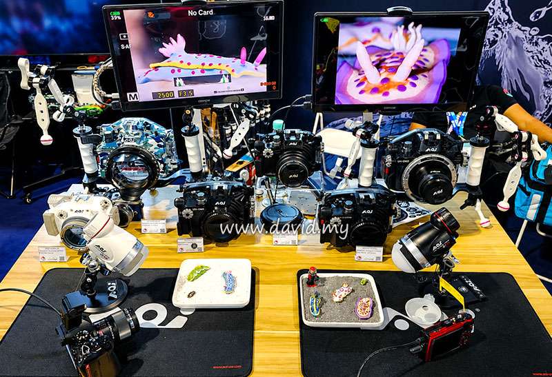 Promotions MIDE Dive Expo