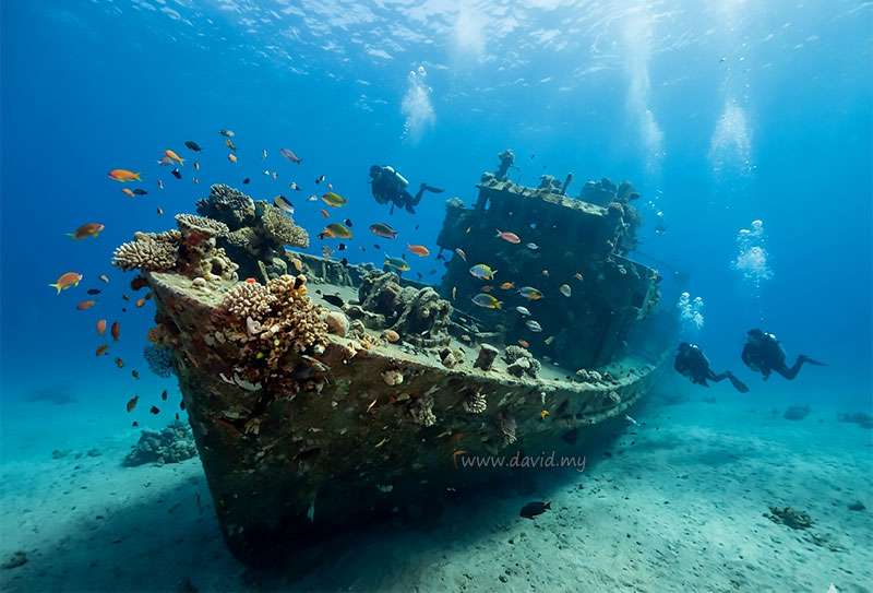Taiyong Wreck Dive Site in Aqaba