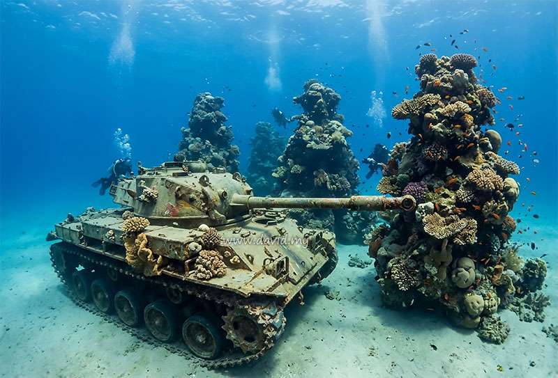 Tank and Seven Sisters Dive Site Aqaba